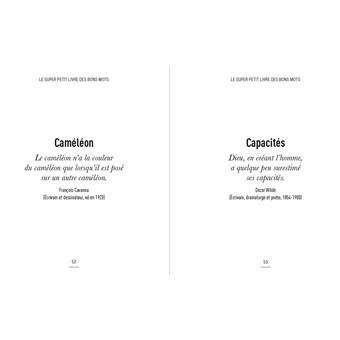Le super petit livre des bons mots
