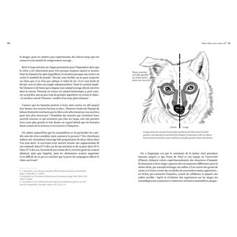 Le Chien, un loup rempli d'humanité