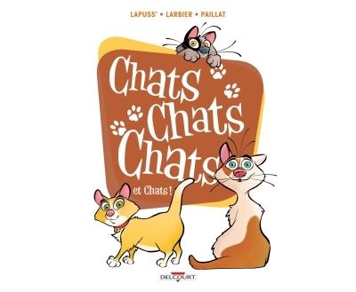 Chats chats chats et chats !
