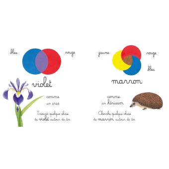 Les couleurs à observer, reconnaître et nommer