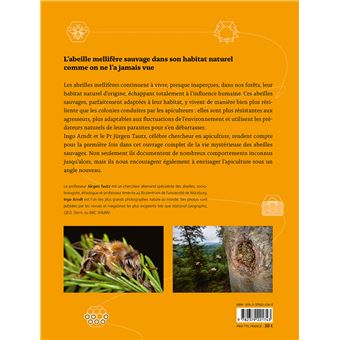 Abeilles mellifères sauvages