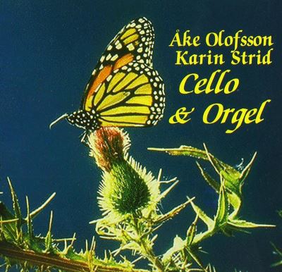Cello and organ