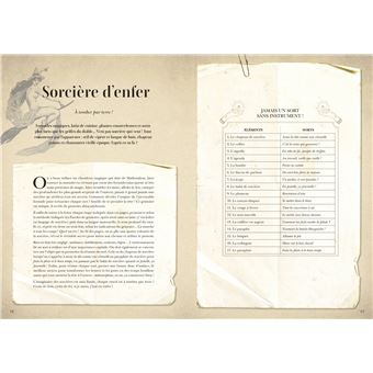 Le nouveau grimoire de sorcière