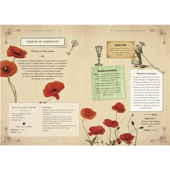 Le nouveau grimoire de sorcière