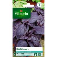 Basilic Pourpre Vilmorin