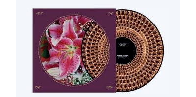 Coles Corner 20th Anniversary Vinyle Zoetrope