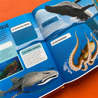 Construis ta planète Terre