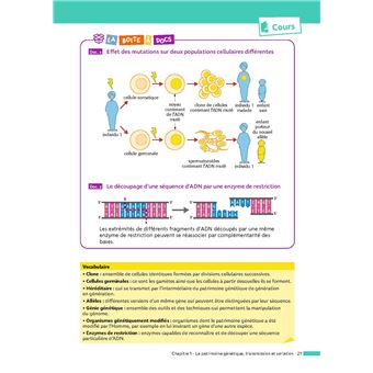 ABC Réussite Sciences et Vie de la Terre 1re