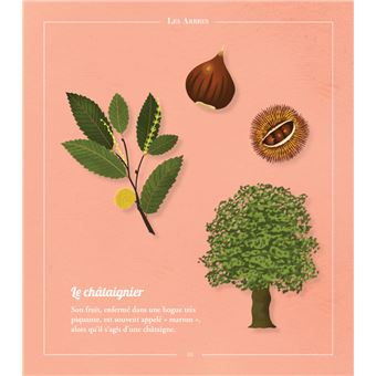 Beautés sauvages : flore