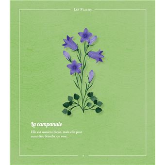 Beautés sauvages : flore