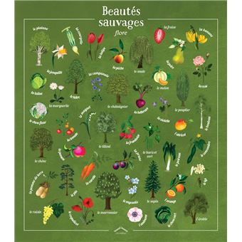 Beautés sauvages : flore