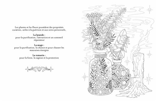 Magie : coloriages pour adultes - Collectif, Claire Scully - Hugo Document  - Papeterie / Coloriage - Librairie Le Divan PARIS