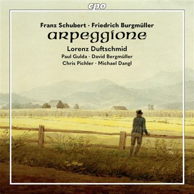 Musique pour arpeggione