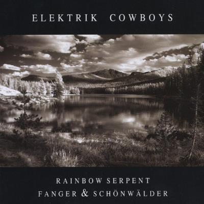 Elektrik cowboys
