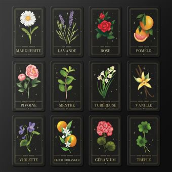 L'Oracle du langage botanique - La nature a un message pour vous ! Coffret