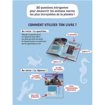 Animaux marins