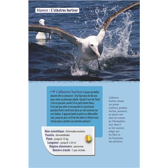 Animaux marins