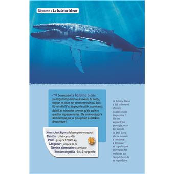 Animaux marins