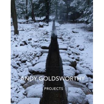 Andy goldsworthy projects - 1