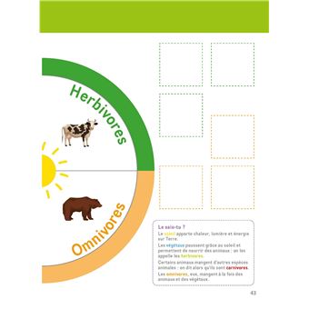 Mon grand cahier Montessori d'initiation aux sciences