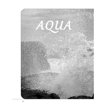 Les architectes de la longevite