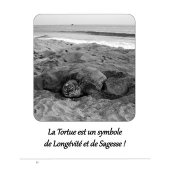 Les architectes de la longevite