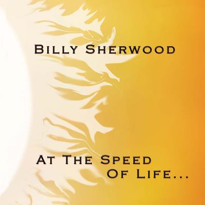 At the speed of life
