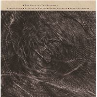 The Moon And The Melodies - Vinilo