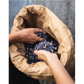 Infusions - Terroirs des simples - relié - Claire Poirrier, Adrien