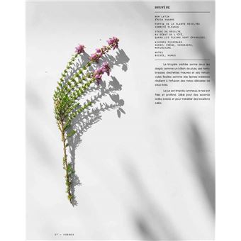 Infusions - Terroirs des simples - relié - Claire Poirrier, Adrien