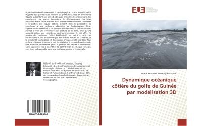 Dynamique océanique côtière du golfe de Guinée par modélisation 3D