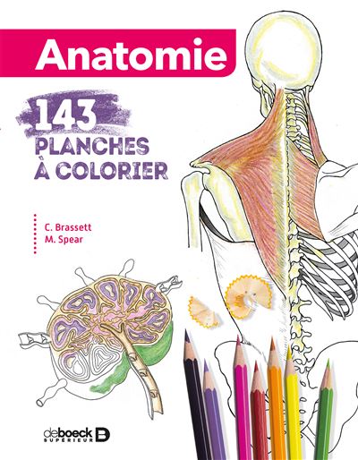 Anatomie 143 Planches A Colorier 2019 Broche Renan Bain Michelle Spear Cecilia Brassett Achat Livre Fnac