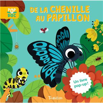 De la chenille au papillon
