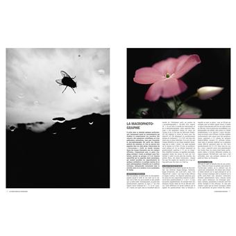 Photographie : Techniques, Pratique, Esthétique