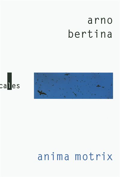 Anima motrix - Arno Bertina - broché