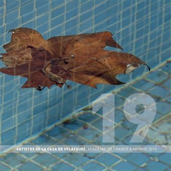 Artistes de la casa de velázquez. académie de France à madrid 2019