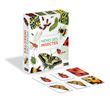Mémo des insectes