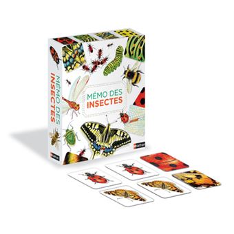 Mémo des insectes