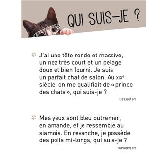 La boîte quiz Chats