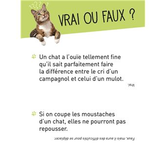 La boîte quiz Chats