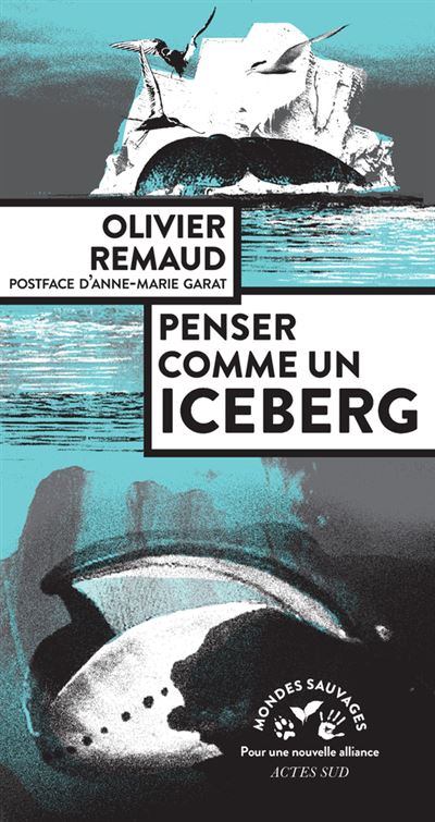 Penser comme un iceberg - Olivier Remaud - broché