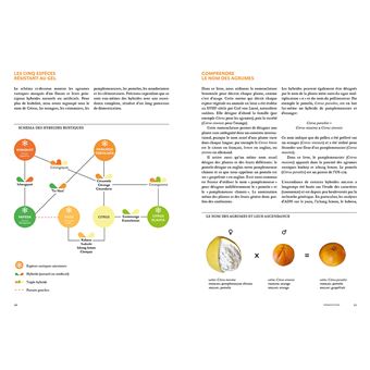 Agrumes résistant au froid - A cultiver en pleine terre