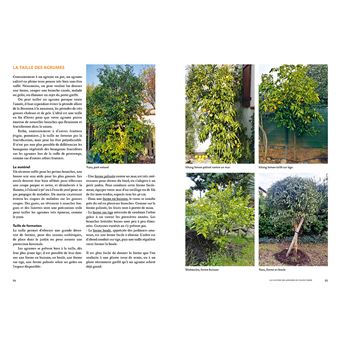 Agrumes résistant au froid - A cultiver en pleine terre