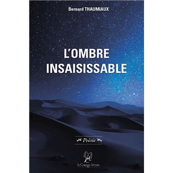 L'Ombre insaisissable