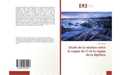 Etude de la relation entre la nappe du CI et la nappe de la Djeffara