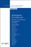Jurisprudence CJUE 2018
