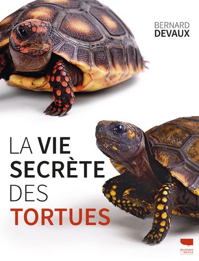 La vie secrete des tortues