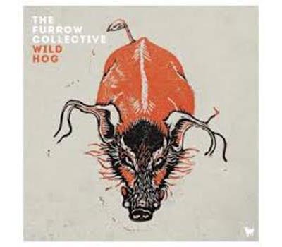 WILD HOG