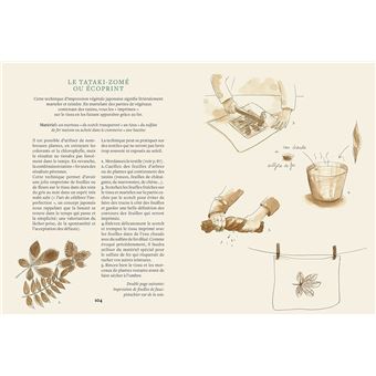 Teindre avec les plantes