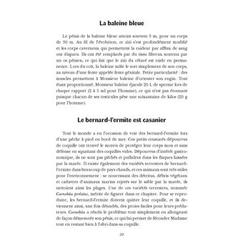 Le ZIZI : vous saurez tout sur cet organe mal connu !